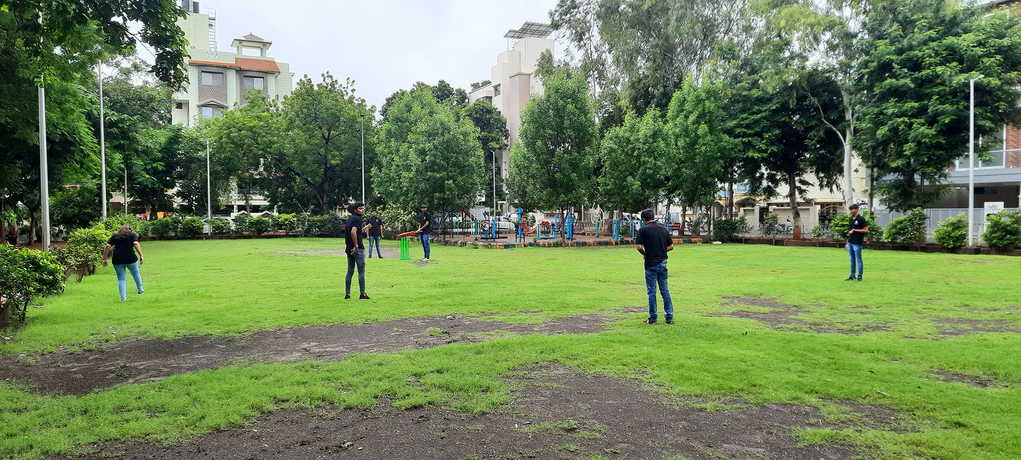 Cricket
