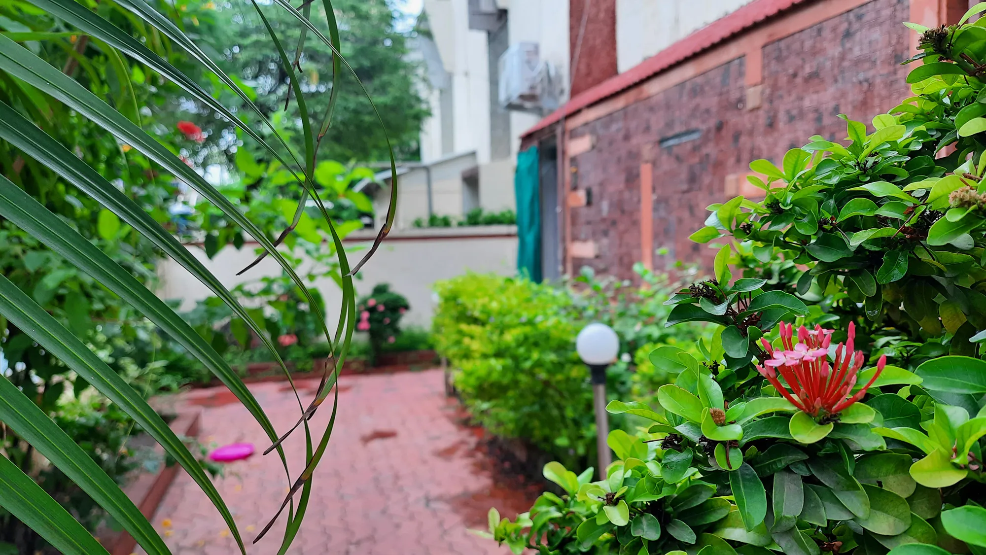 Garden-2
